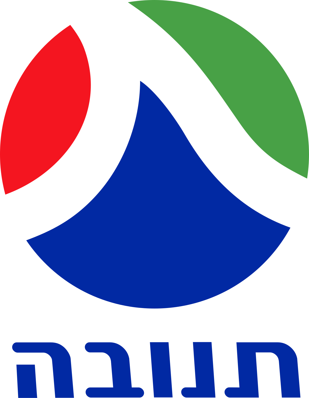 מוריה מצוות גיוס תנובה