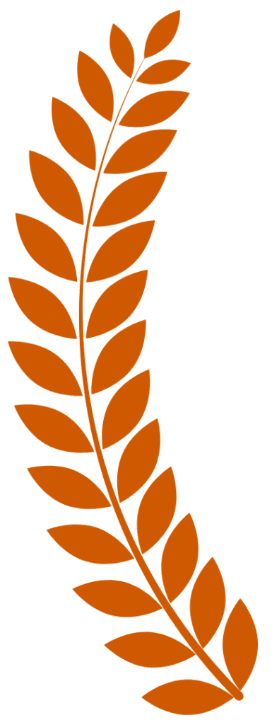 DESKTOP-LANDING-PAGE-77-e1751045318163.png - מעוף גלובל
