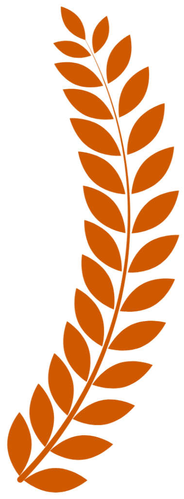 DESKTOP-LANDING-PAGE-78-e1751045365235.png - מעוף גלובל